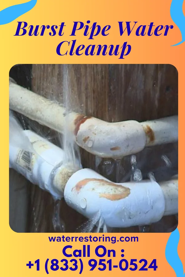 Burst Pipe Water Cleanup in Flushing, OH