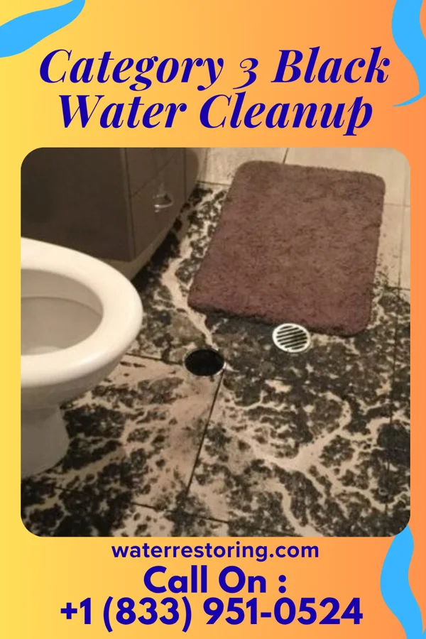 Category 3 Black Water Cleanup in Flushing, OH