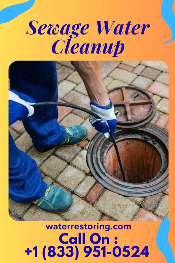 Sewage Water Cleanup in Flushing, OH
