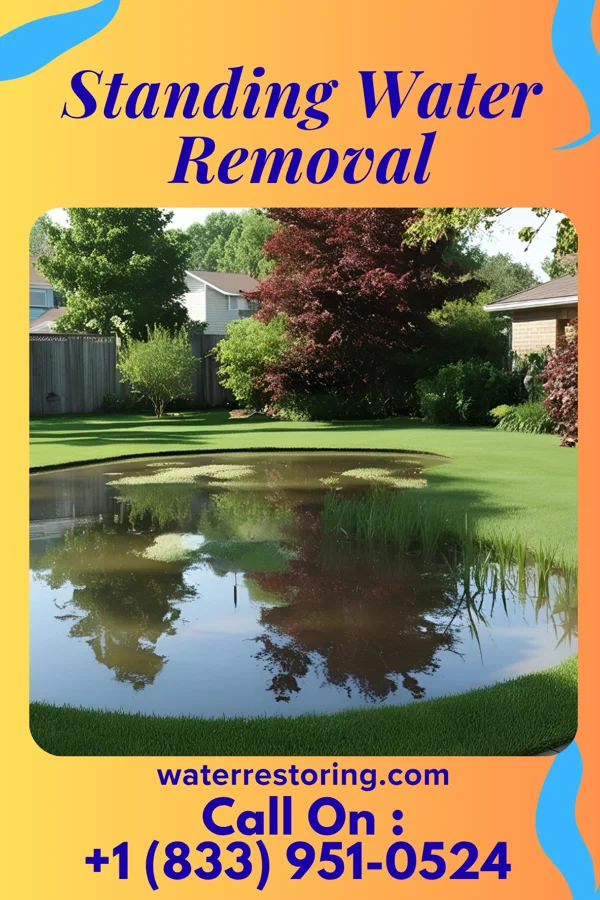 Standing Water Removal in Flushing, OH